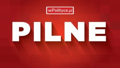 wpolityce pl.