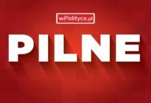 wpolityce pl portal