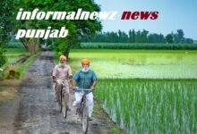 informalnewz news punjab