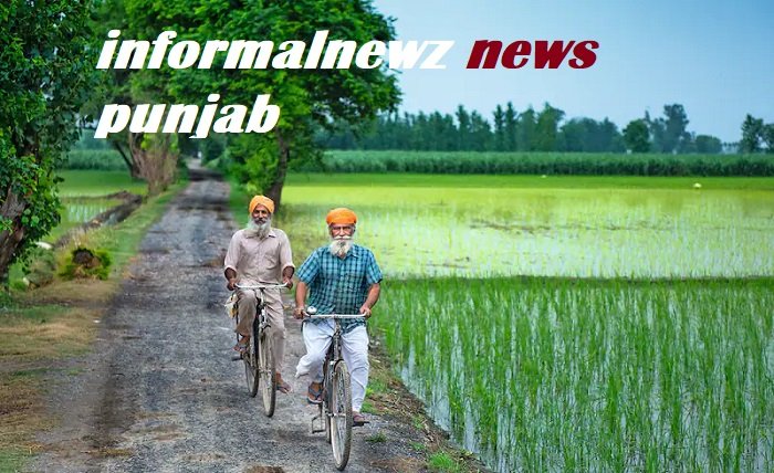 informalnewz news punjab