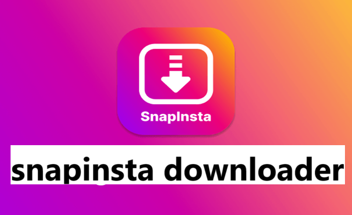 snapinsta downloader